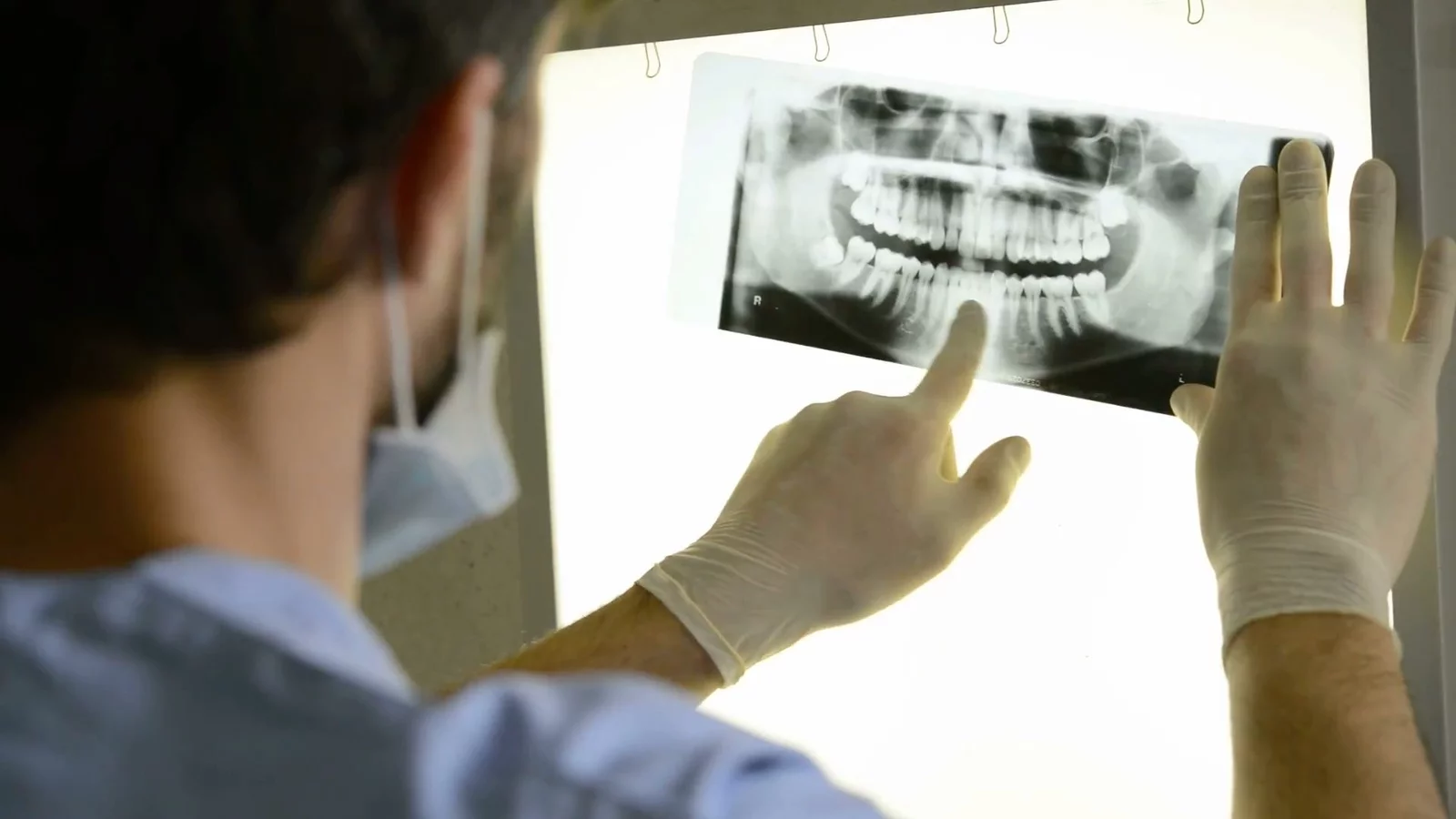 Dentist reviewing a panoramic dental X-ray